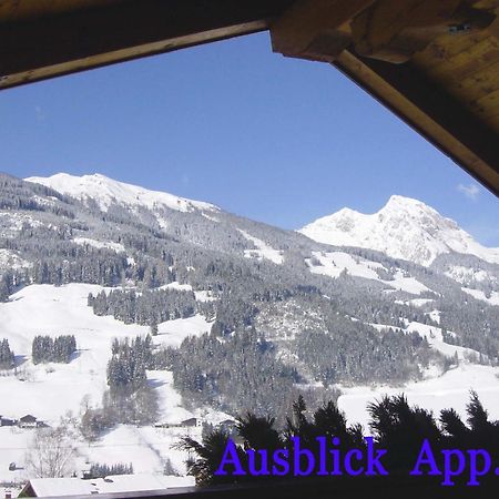 Gaestehaus Alpina Дорфгащайн Екстериор снимка